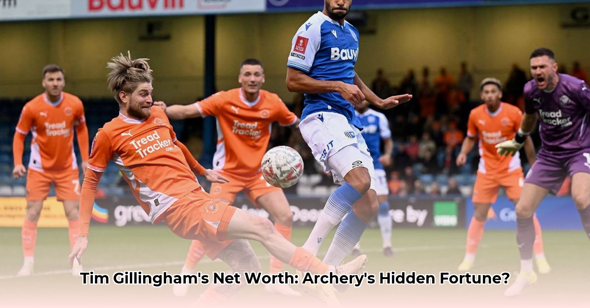 tim-gillingham-net-worth